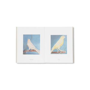 Illustration 2 jours de stage / La Petite collection d'images peintes / par l'artiste Axel AMIAUD