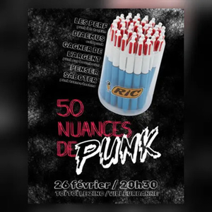 Illustration 50 nuances de punk