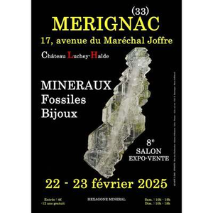 Illustration 8ème salon des minéraux, fossiles et bijoux à Mérignac