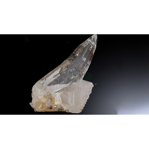 Illustration 9e salon minéraux, fossiles, bijoux