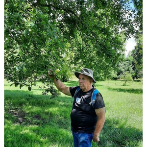 Illustration À la découverte des arbres nourriciers !