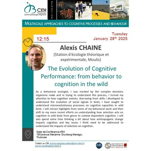 Illustration Alexis CHAINE " The Evolution of Cognitive Performance: from behavior to cognition in the wild"