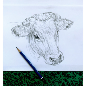 Illustration Anatomie, dessin et secrets de la création animalière