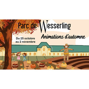 Illustration Animations d'Automne du 25 octobre au 2 novembre
