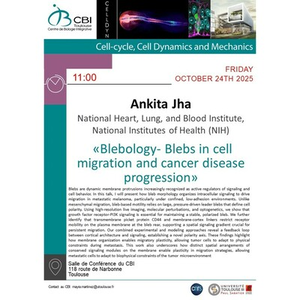Illustration Ankita Jha
«Blebology- Blebs in cell migration and cancer disease progression»