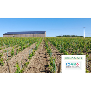 Illustration Après-midi technique viticole (44)