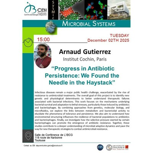 Illustration Arnaud Gutierrez
“Progress in Antibiotic Persistence: We Found the Needle in the Haystack”