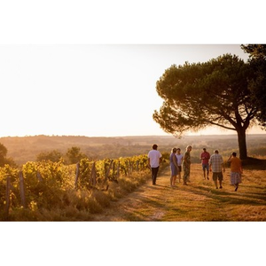 Illustration Arômes & Paysages : une expérience unique !