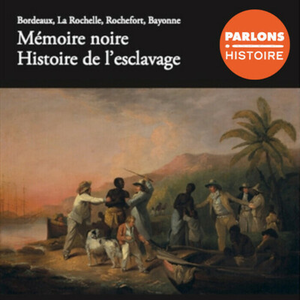 Illustration Arpentage du livre "Mémoire noire. Histoire de l'esclavage"