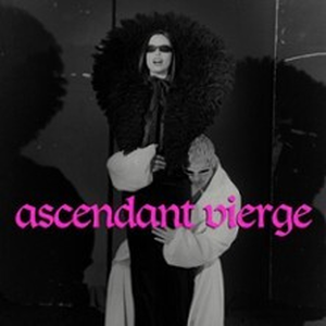 Illustration Ascendant Vierge