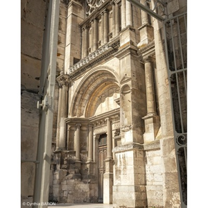 Illustration Atelier : balade photographique