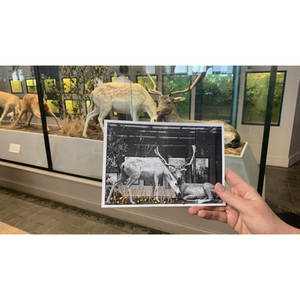 Illustration Atelier Broderie / Maison Folie Moulins