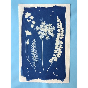 Illustration Atelier cyanotype adultes