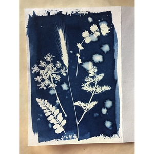 Illustration Atelier cyanotype en famille