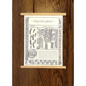 Illustration Atelier de botanique : formes & motifs de la nature
