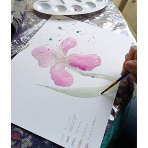 Illustration Atelier de curiosité : Dessin végétal