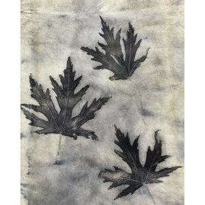 Illustration Atelier de curiosité : impression botanique, les feuilles d'automne sur soie