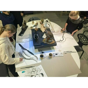 Illustration Atelier de dessin d'après nature