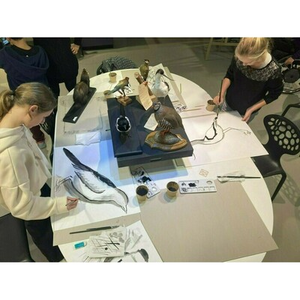 Illustration Atelier de dessin naturaliste à Tournefeuille