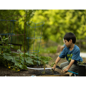 Illustration Atelier de jardinage : l'eau, source de vie au jardin