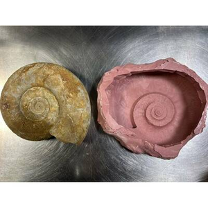 Illustration Atelier de moulage de fossile