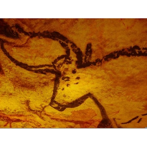 Illustration Atelier découverte de la nature : faune du passé