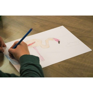 Illustration Atelier Dessin - au Mini-Lab / Le MHN fait le Mur
