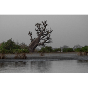 Illustration Atelier Famille | Kamishibaï