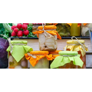 Illustration Atelier gourmand : Lactofermentation