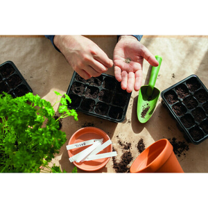 Illustration Atelier grainothèque, temps 3 : le bouturage