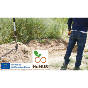 Illustration Atelier initiation "sol et résilience des territoires" : devenir ambassadeur du sol !