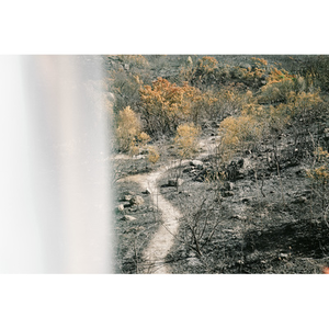 Illustration Atelier jeune public | 6 - 8 ans