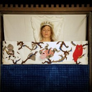 Illustration Au Bois Dormant