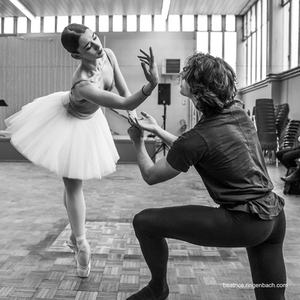 Illustration Autour du Lac des Cygnes