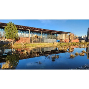 Illustration Balade botanique à Montaudran