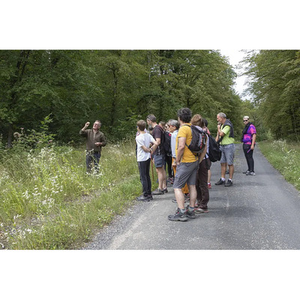 Illustration Balade Nature à la découverte de la flore printanière