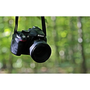 Illustration Balade nature : initiation à la photo et vidéo naturaliste