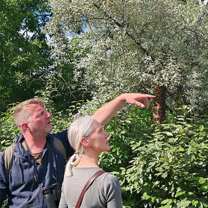 Illustration Balade Nature - Notre région en automne / Saint-Maurice Pellevoisin