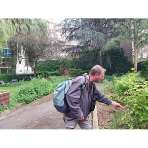 Illustration Balade nature / votre quartier en été