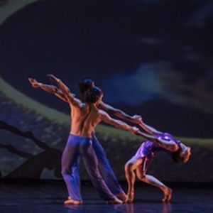 Illustration Ballets - Compagnie Acontretemps