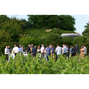 Illustration Barbecue dans les jardins du Château Haut-Bailly