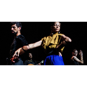 Illustration Bate Fado • Jonas&Lander