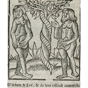 Illustration Bibliophiles de Guyenne : La faute du jardinier du paradis