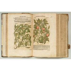 Illustration Bibliophiles de Guyenne : Les éditions vénitiennes du commentaire de Mattioli à Dioscoride