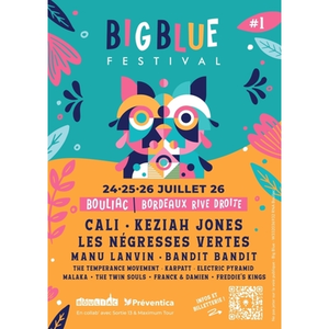 Illustration Big Blue Festival - Bouliac (33) du 24 au 26 Juillet 2026