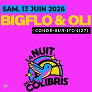 Illustration Bigflo et Oli - Festival La Nuit des Colibris