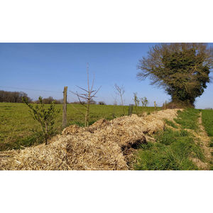 Illustration Bilan 2025 et démonstrations de plantations