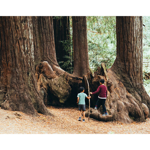 Illustration Biodiversité, malade imaginaire ?