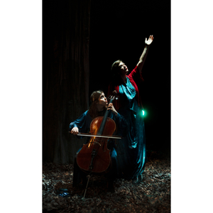 Illustration Birds on a Wire | La 2Deuche