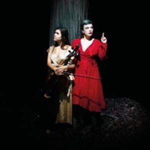 Illustration Birds on a Wire - Rosemary Standley - Dom La Nena - Théâtre du Rond-Point, Paris